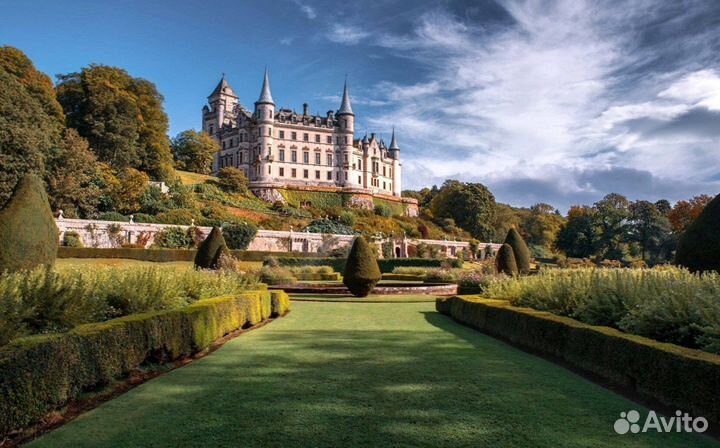 Рулонный газон с укладкой