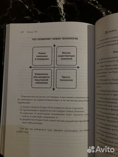 Книга Лот Блокчейн для бизнеса Авито доставка