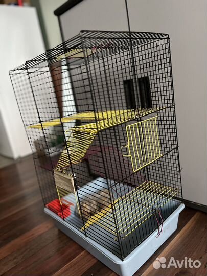 Клетка для крыс с кормом