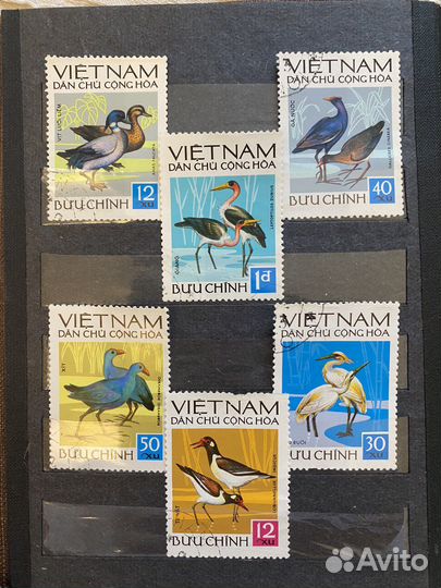 Марки Вьетнам «Птицы 2», 1972г
