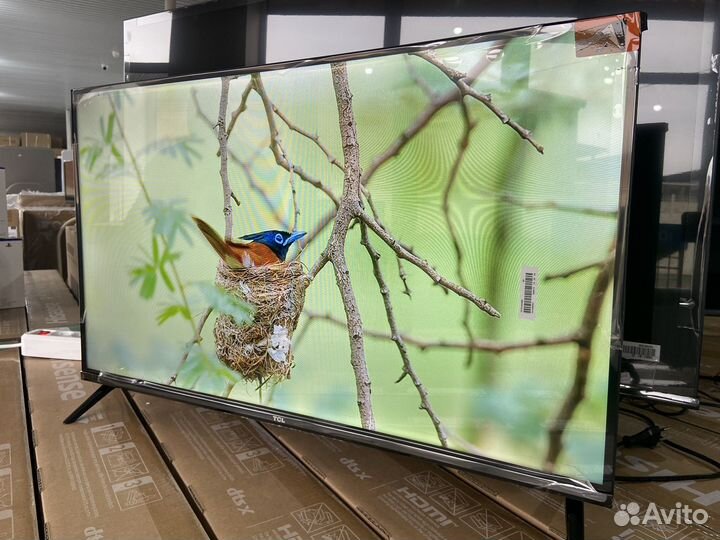 Smart TV32 TCL 81см
