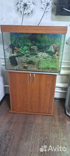 Аквариум с тумбой 120 литров