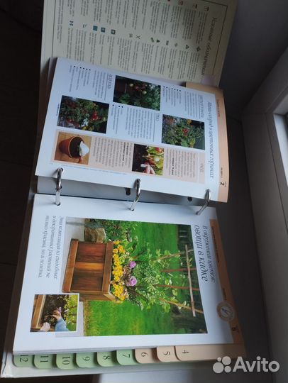 Сад моей мечты подборка книга