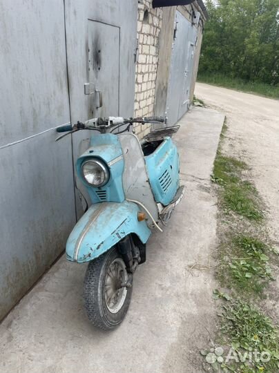 Вятка электрон