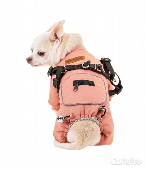 Комбинезон для собак мелких пород XS