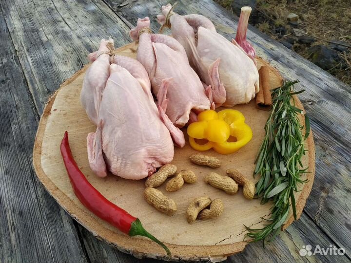 Мясо цыплят корнишонов