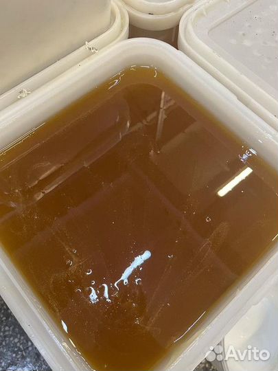 Мед Горный опт