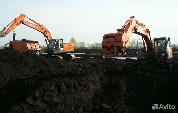 Земля плодородная сеяная