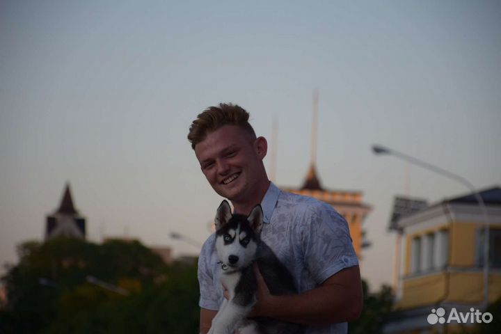 Ветеринарный врач выезд на дом