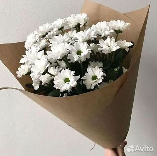 Хризантема