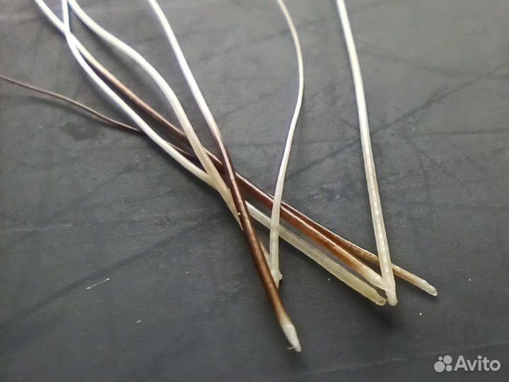 Кошачьи усы