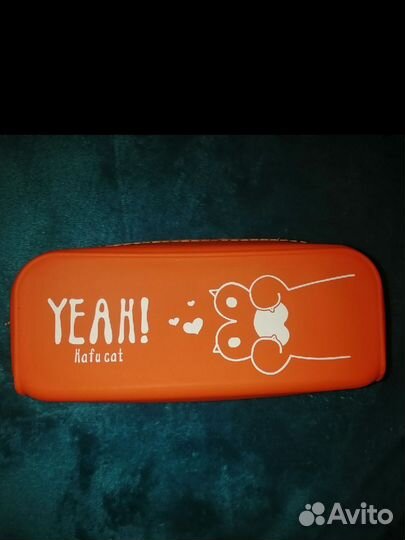 Пинал школьный