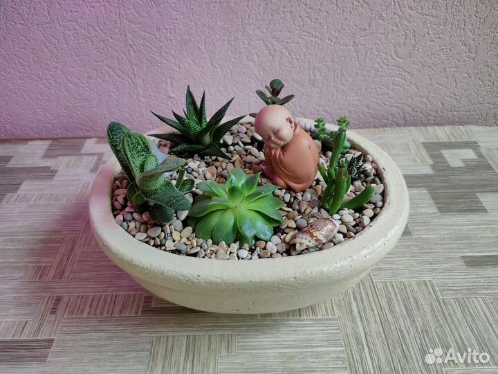 Композиция из суккулентов (мини-сад)