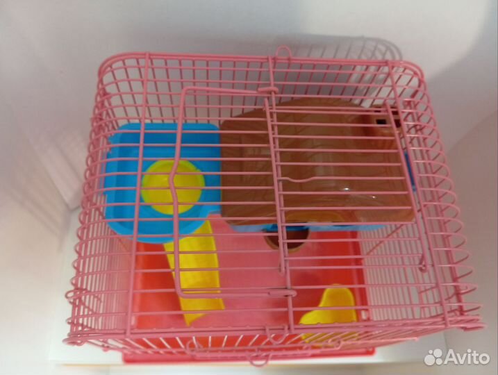 Клетка для джунгарского хомяка