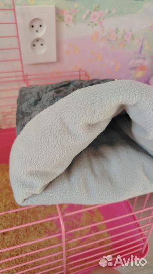 Африканский ежик