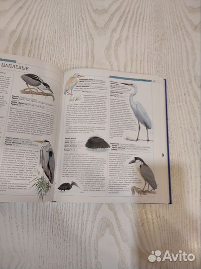 Эллюстрированная энциклопедия животных