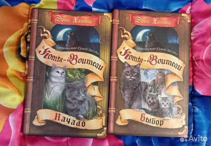 Коты воители 2 цикл