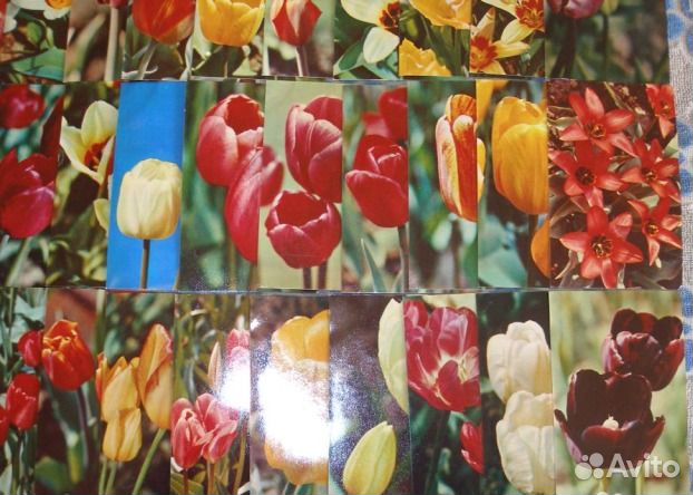 Набор цв. открыток 