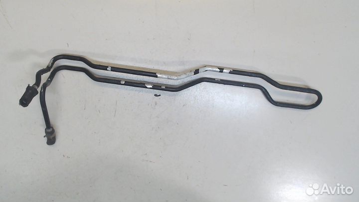 Радиатор масляный Nissan Maxima A34, 2004