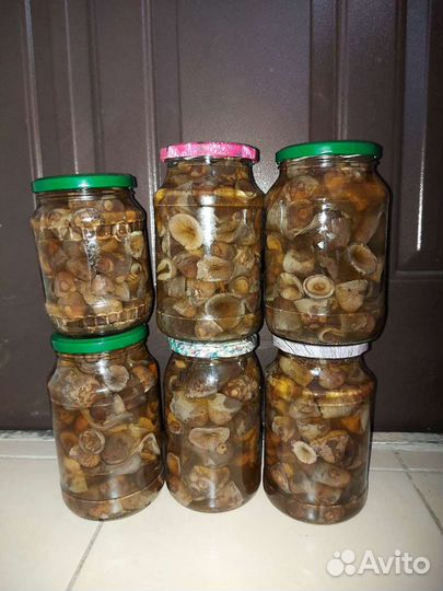 Маринованные грибы