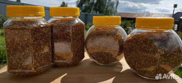 Пыльца пчелиная