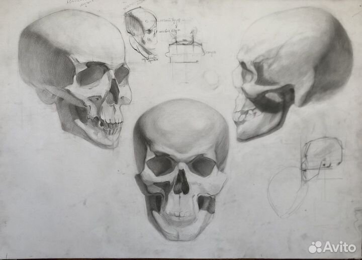 Академический рисунок на заказ/ живопись