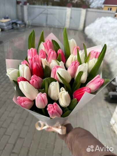 Тюльпаны букеты