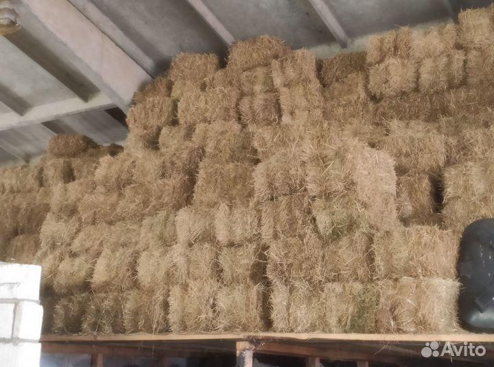 Солома в тюках доставка в Щербинку