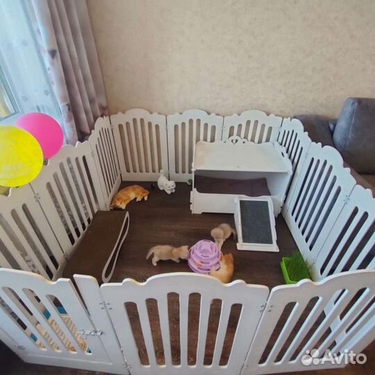 Вольер для питомцев