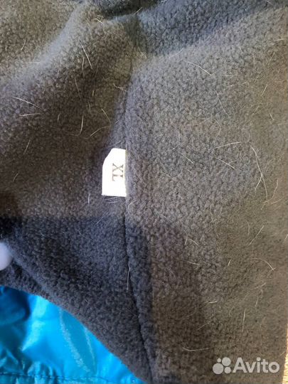 Одежда для собак