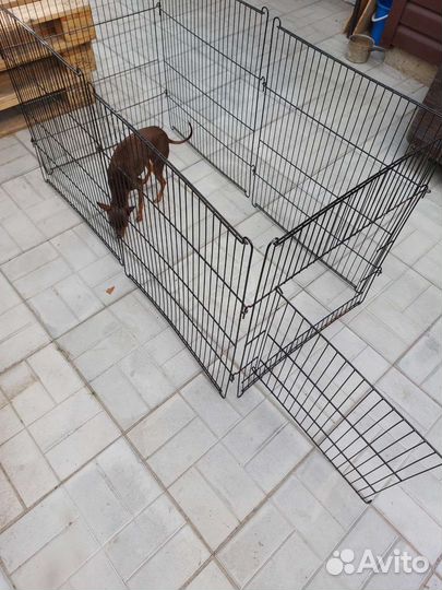 Вольер для собак