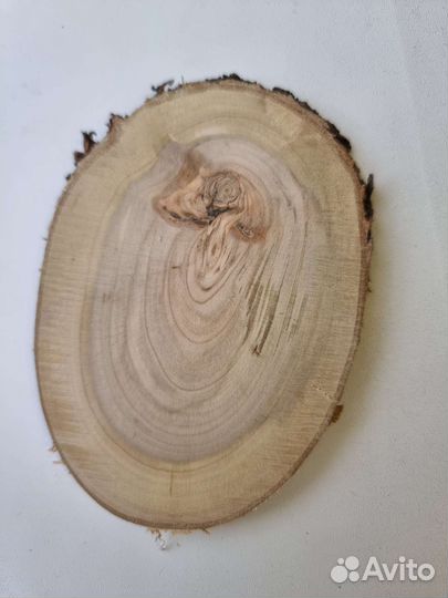 Спилы дерева