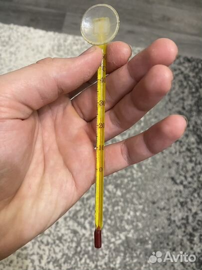 Грунт, фильтр и градусник