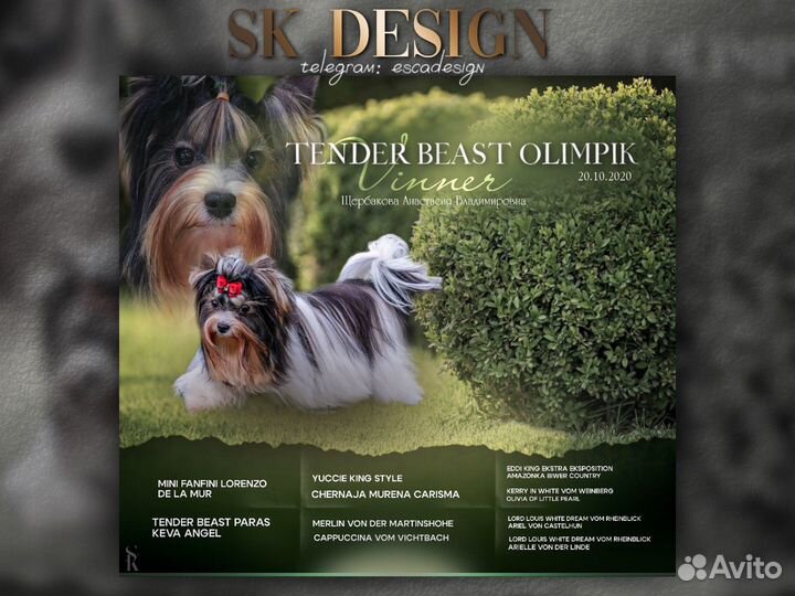 Презентации собак на заказ