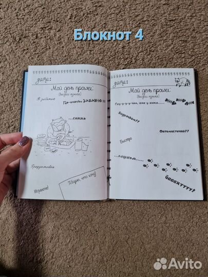 Дневник Енота интроверта