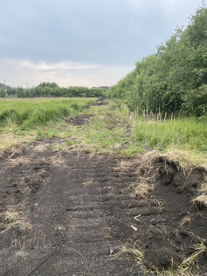 Участок 40 сот. (ИЖС)