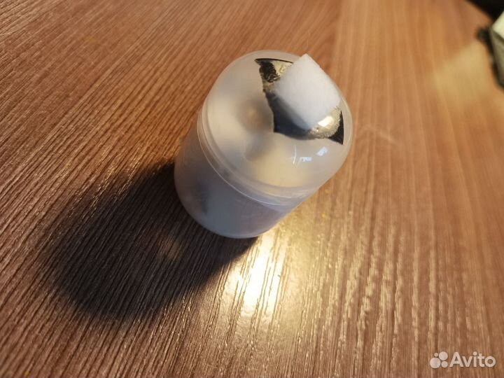 Муравьиные матки Lasius Niger/Чёрный садовый