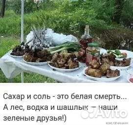 Мясо свинина