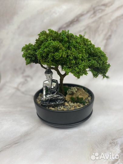 Бонсай Будда