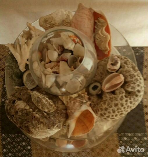 Сувенир, краб с ракушками