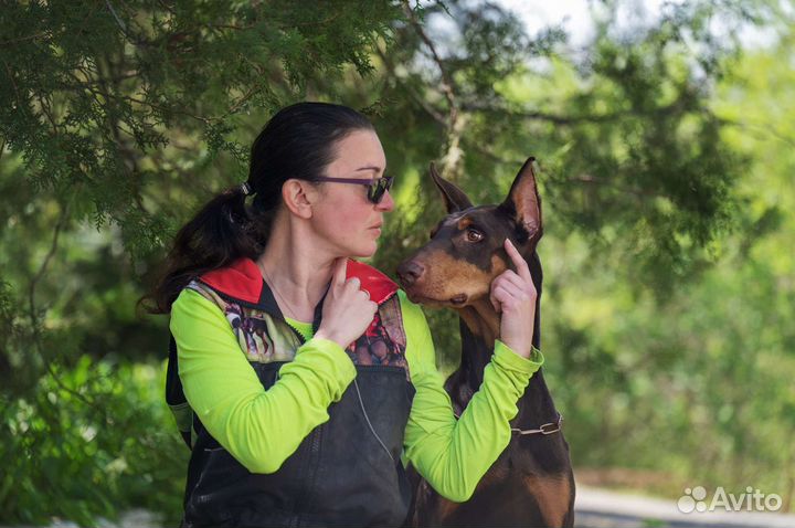 Дрессировка собак с проживанием/Передержка