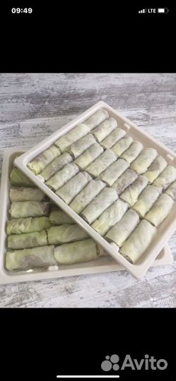 П /ф домашние