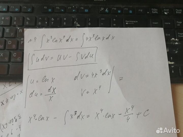 Помощь студентам онлайн: математика, экономика