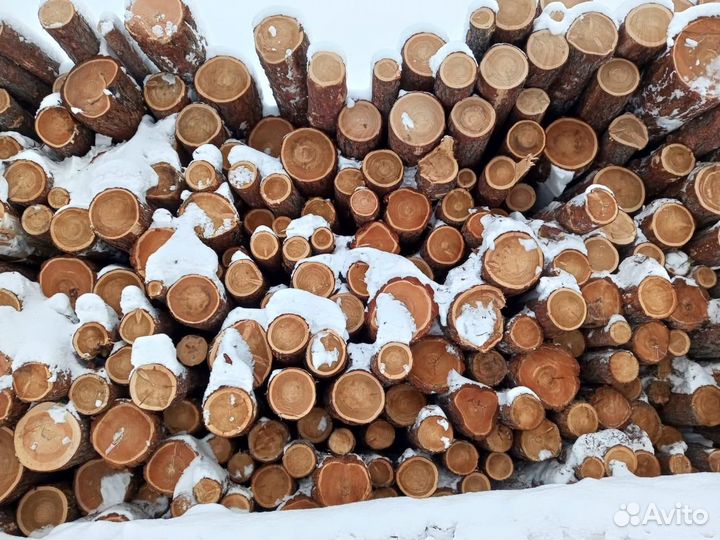 Лиственница