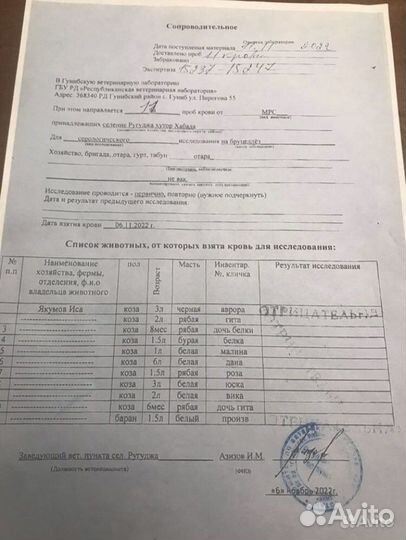 Козье молоко