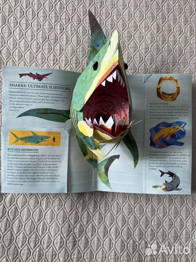 Роберта Сабуда. Акулы и другие морские чудища