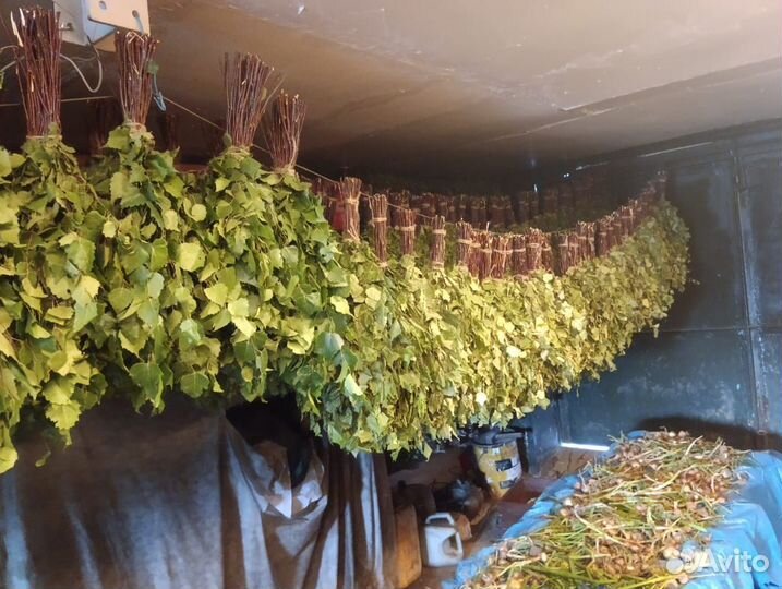 Веники для бани берёзовый, ароматный