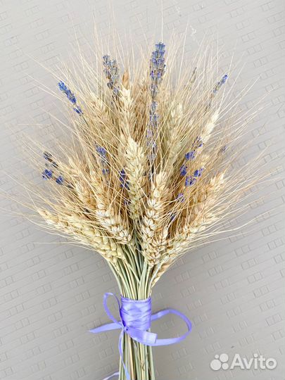 Интерьерные сухоцветы пшеницы
