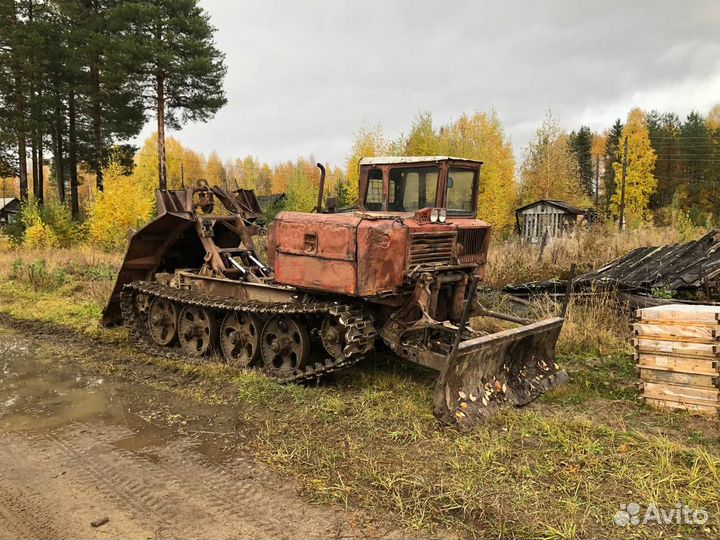 Трактор тдт-55