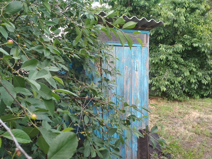 Дом 45 м² на участке 7 сот.